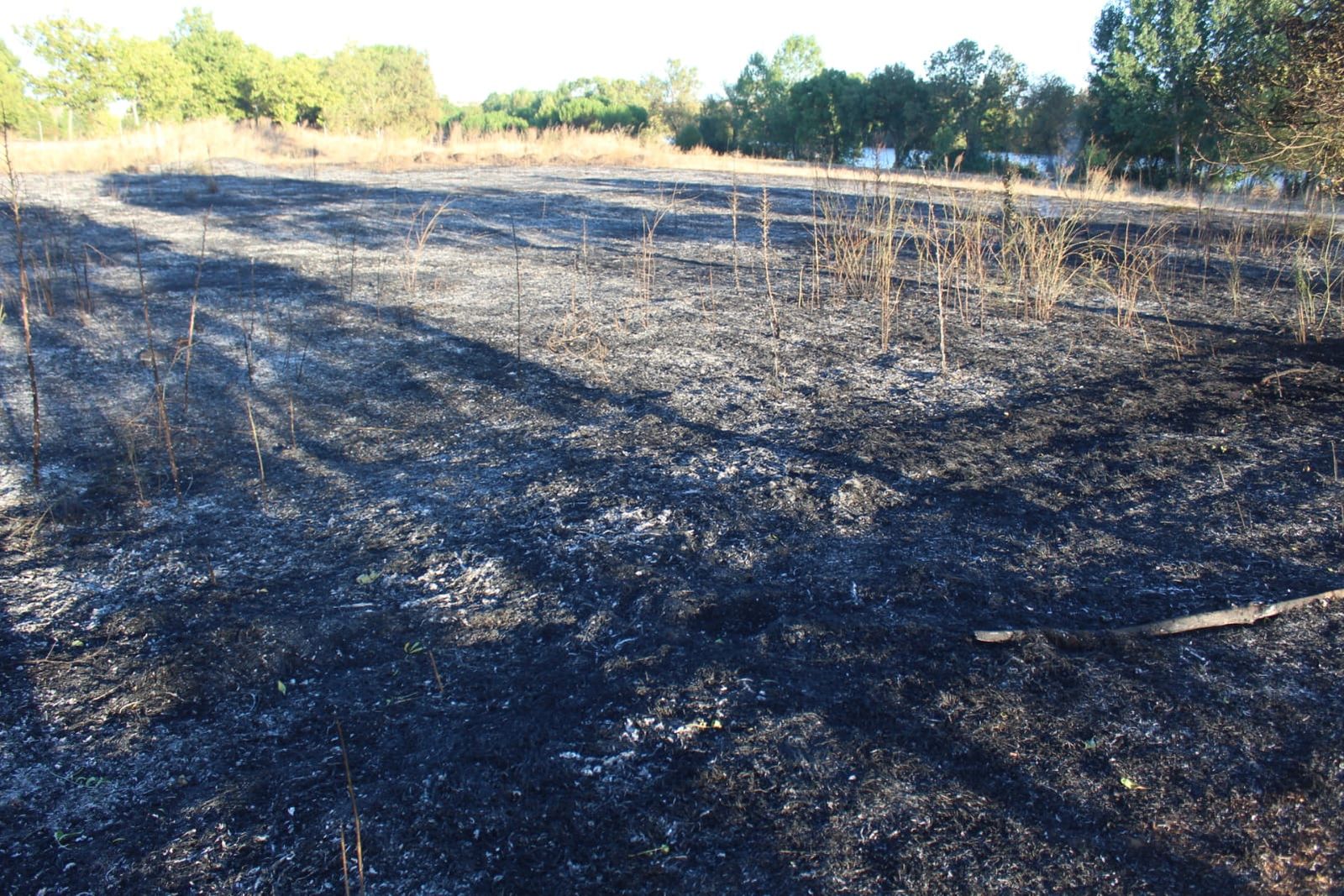 Incendio en Villamayor (4)