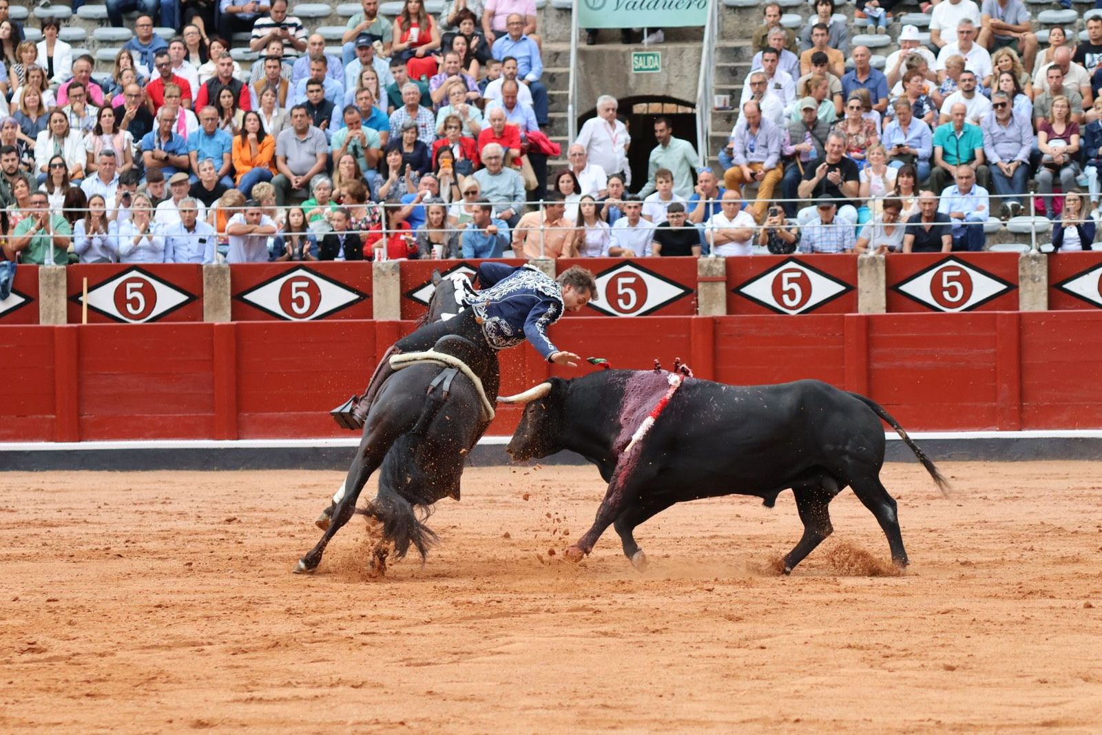 20230909182053-img-0663