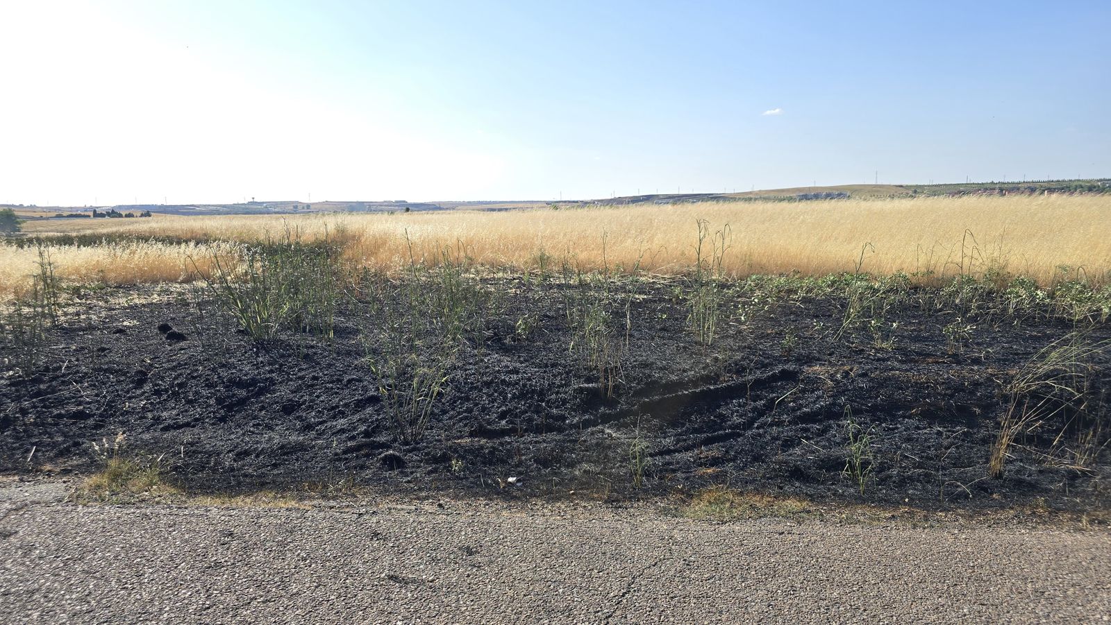Incendio de pasto en la calle Félix Candela (Aldeatejada)