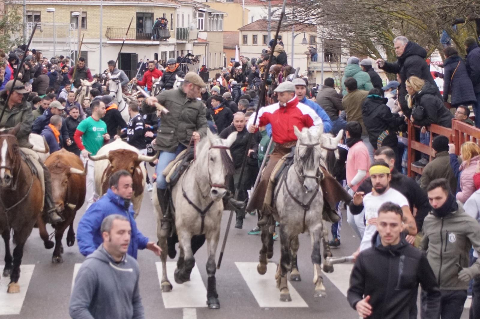 Encierro a Caballo en el Carnaval del Toro 2026 de Ciudad Rodrigo