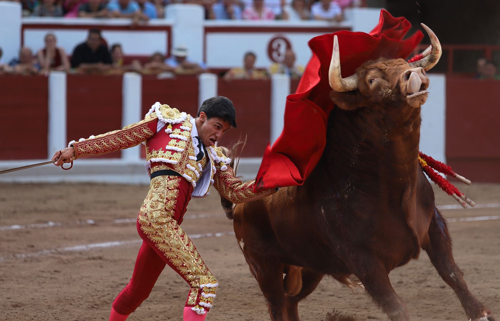 Corrida de Toros de San Pedro 2025