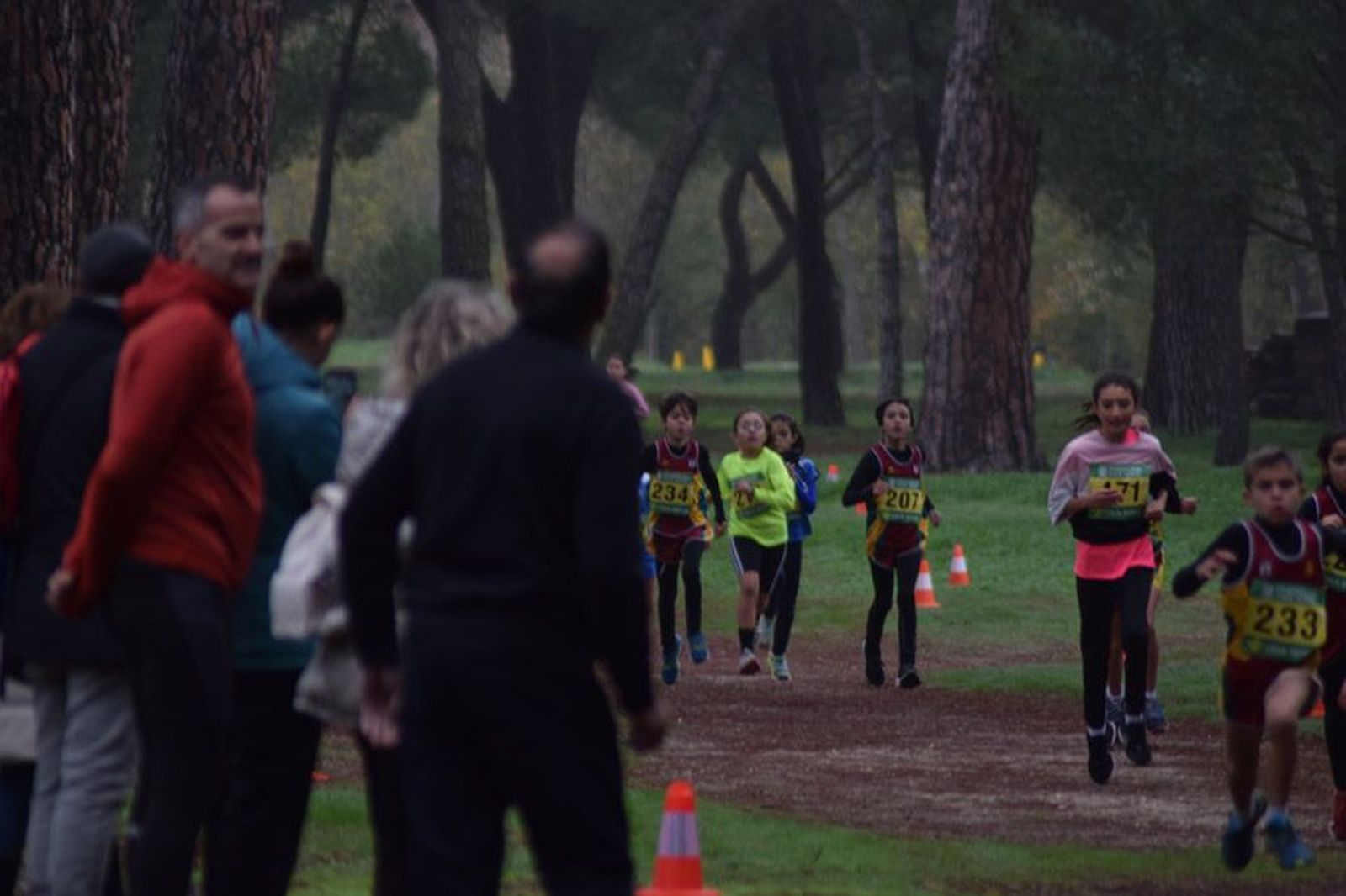 cross-de-otono-en-el-bosque-de-valorio-8