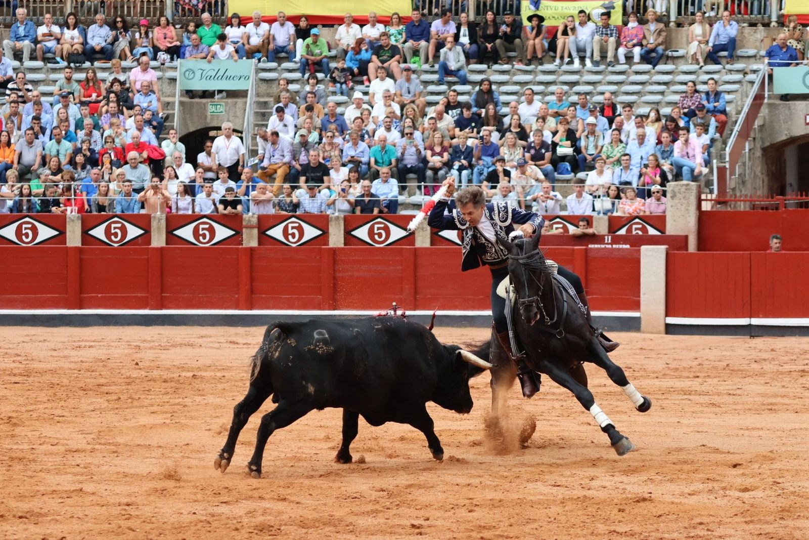 20230909182240-img-0672