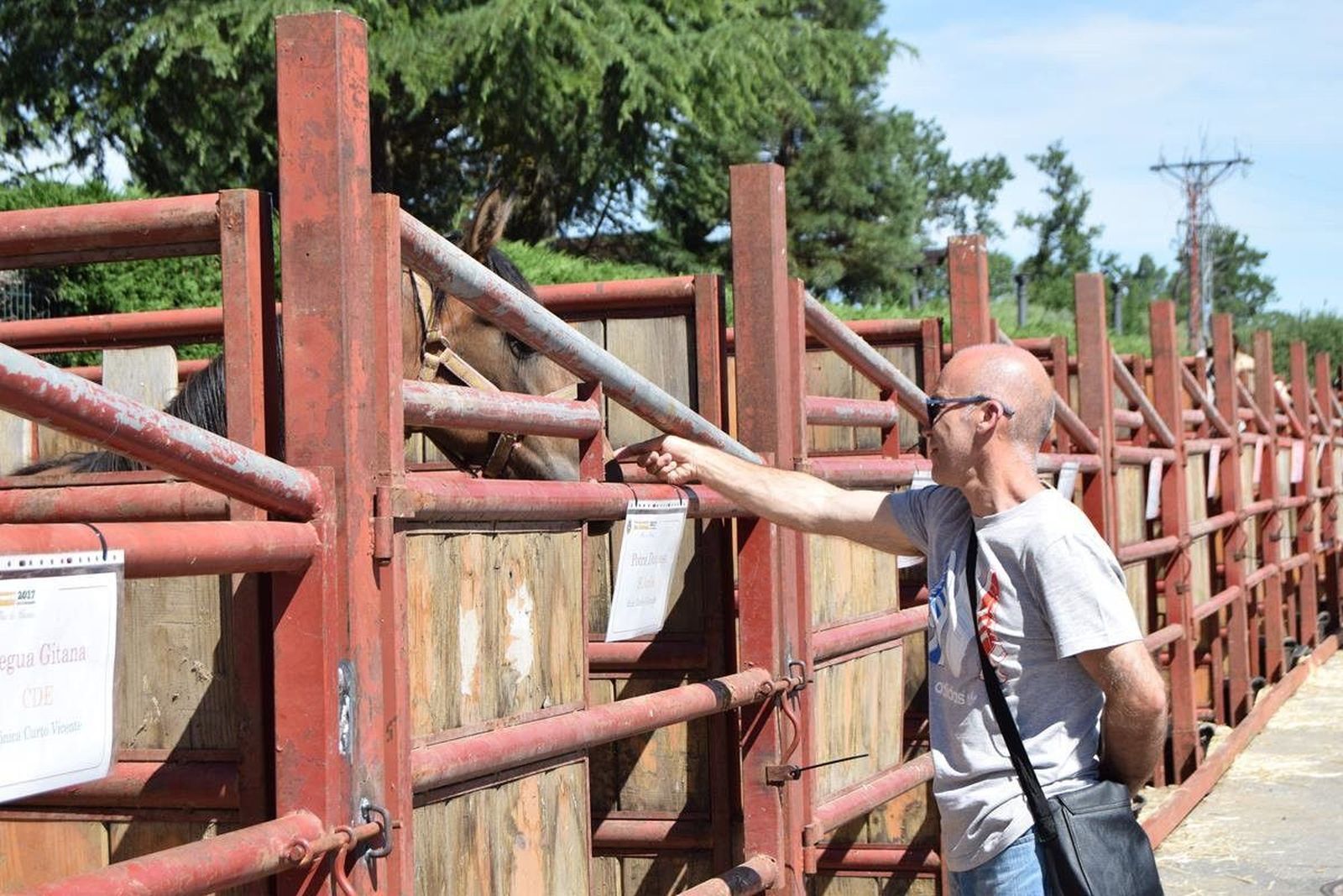 Feria de San Antonio 2017