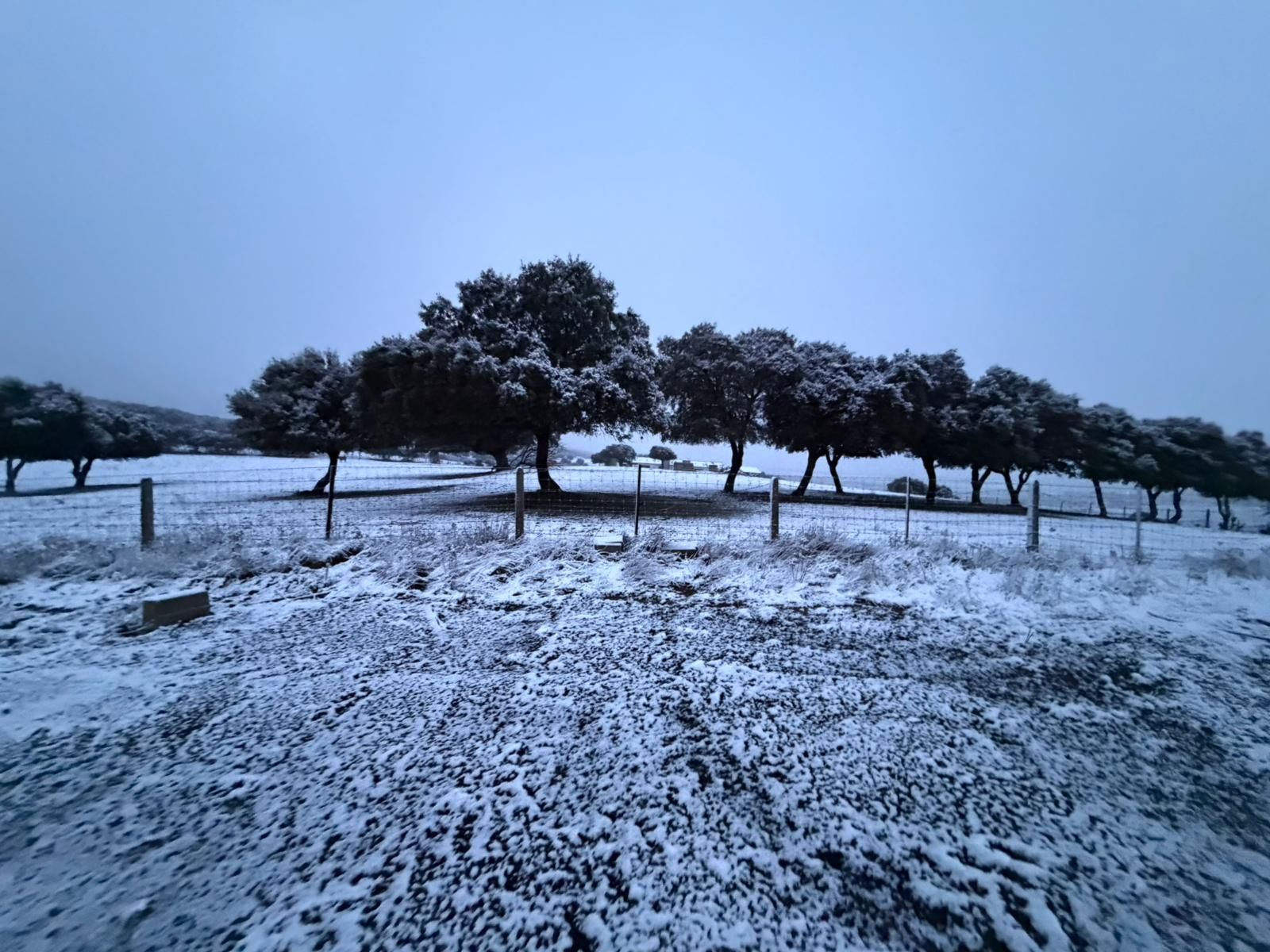 Nieve en Cuatro Calzadas y Guijuelo este sábado