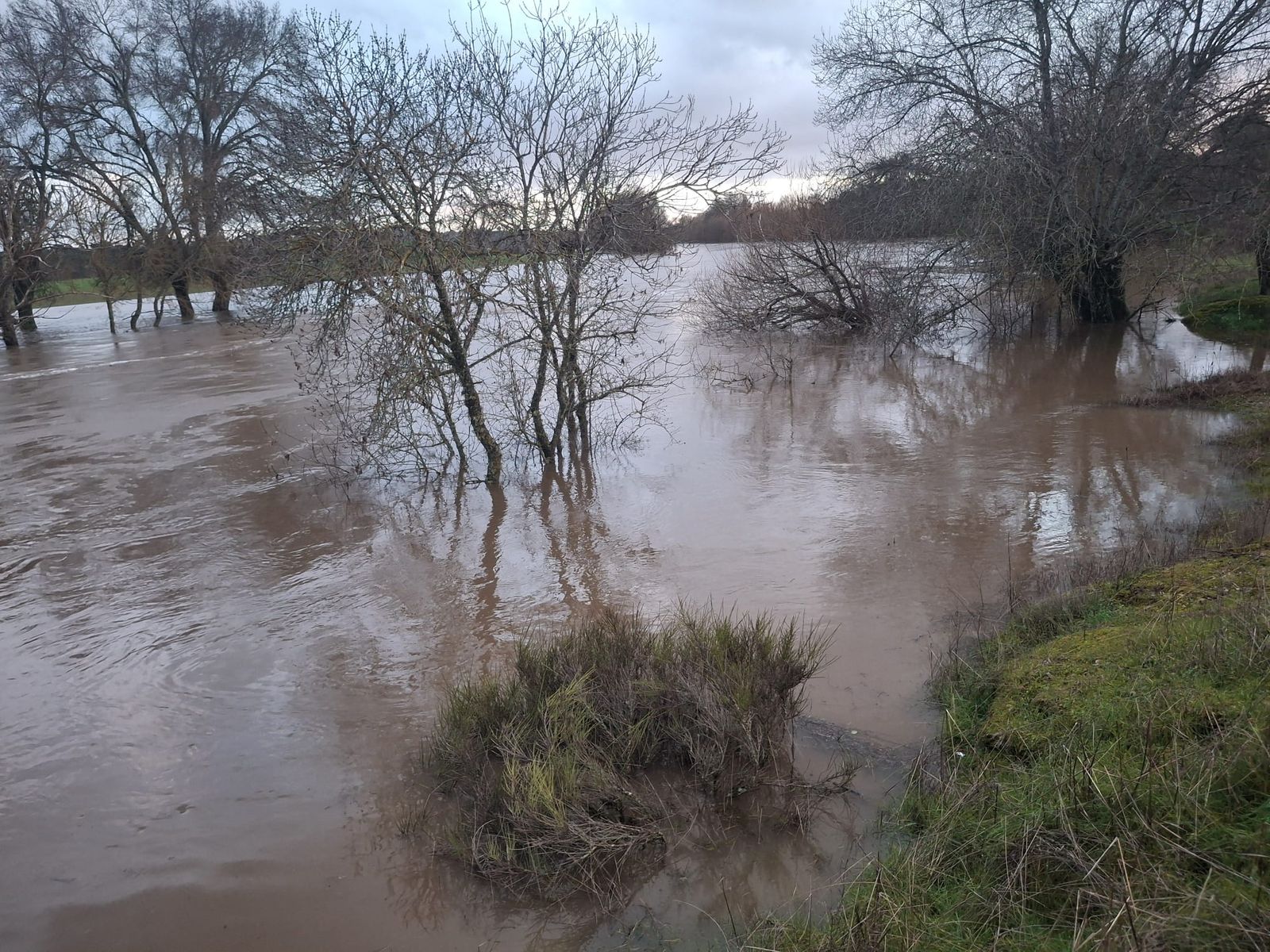Río Huebra desbordado a su paso por Pelarrodríguez