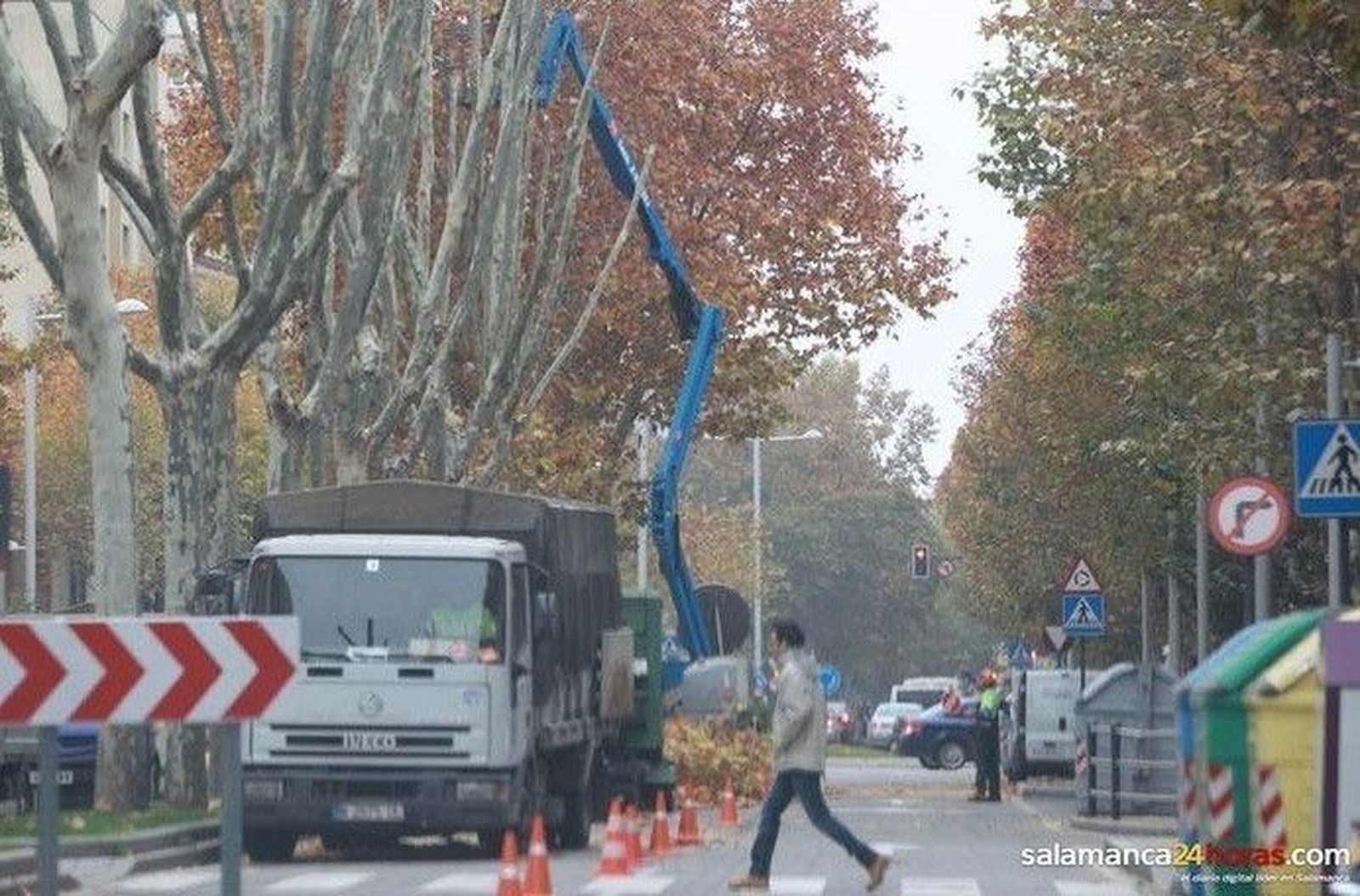 El Ayuntamiento comienza a podar los árboles de la avenida de Portugal para mejorar la visibilidad