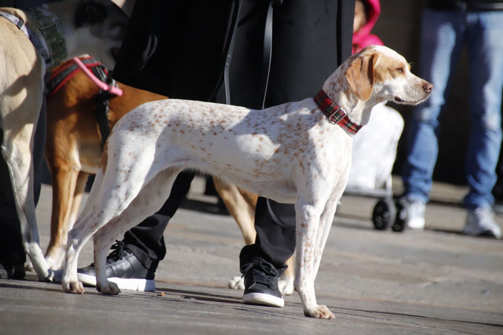 20230205121927-mg-5739