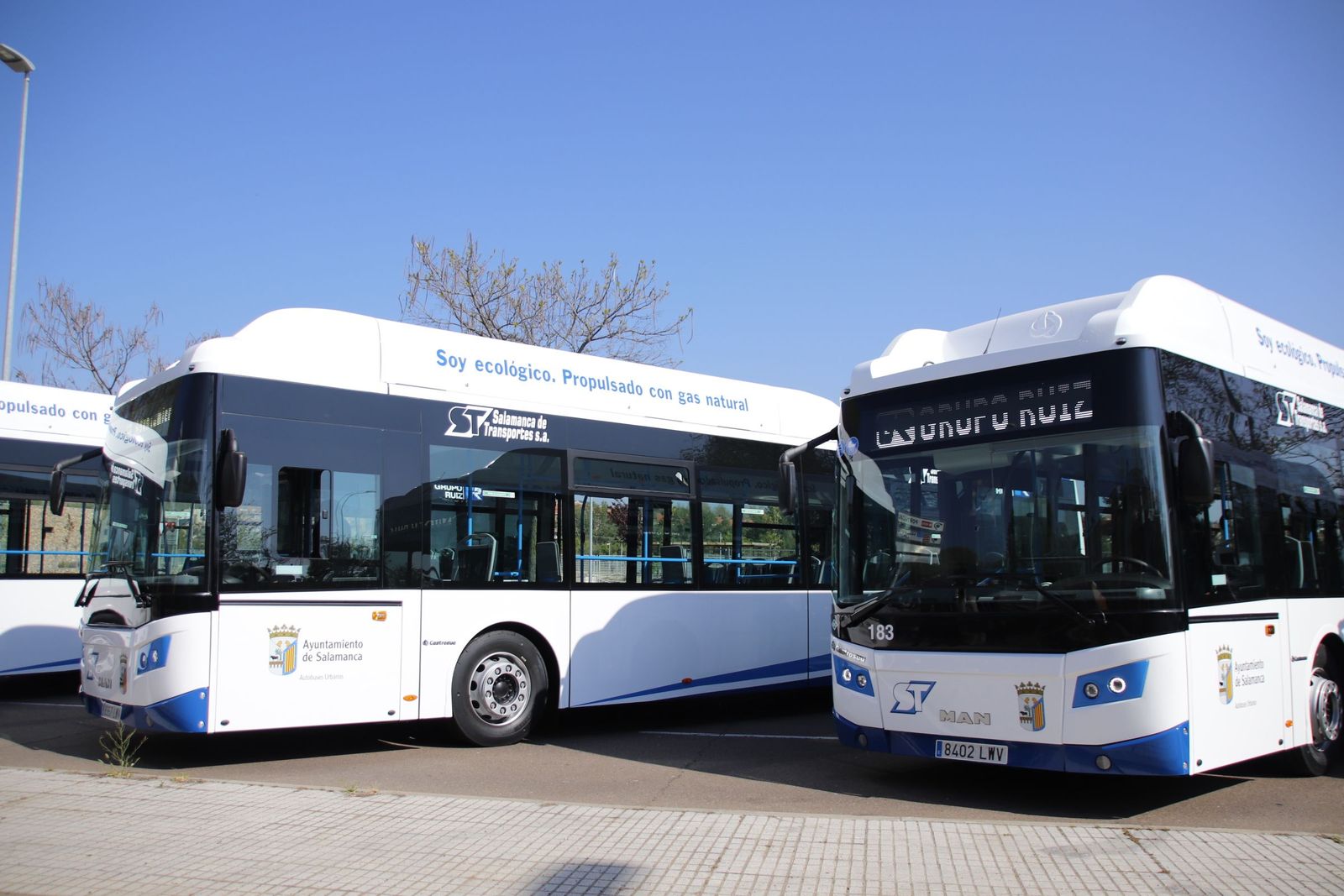 Autobuses de Salamanca | Foto de archivo