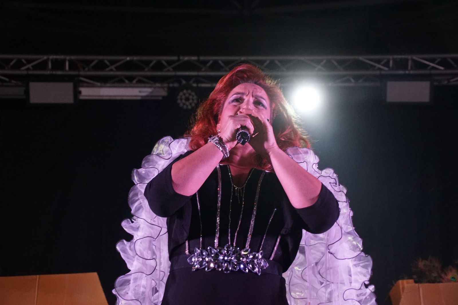 XXXIV Concurso de Play Back Adultos en Alba de Tormes