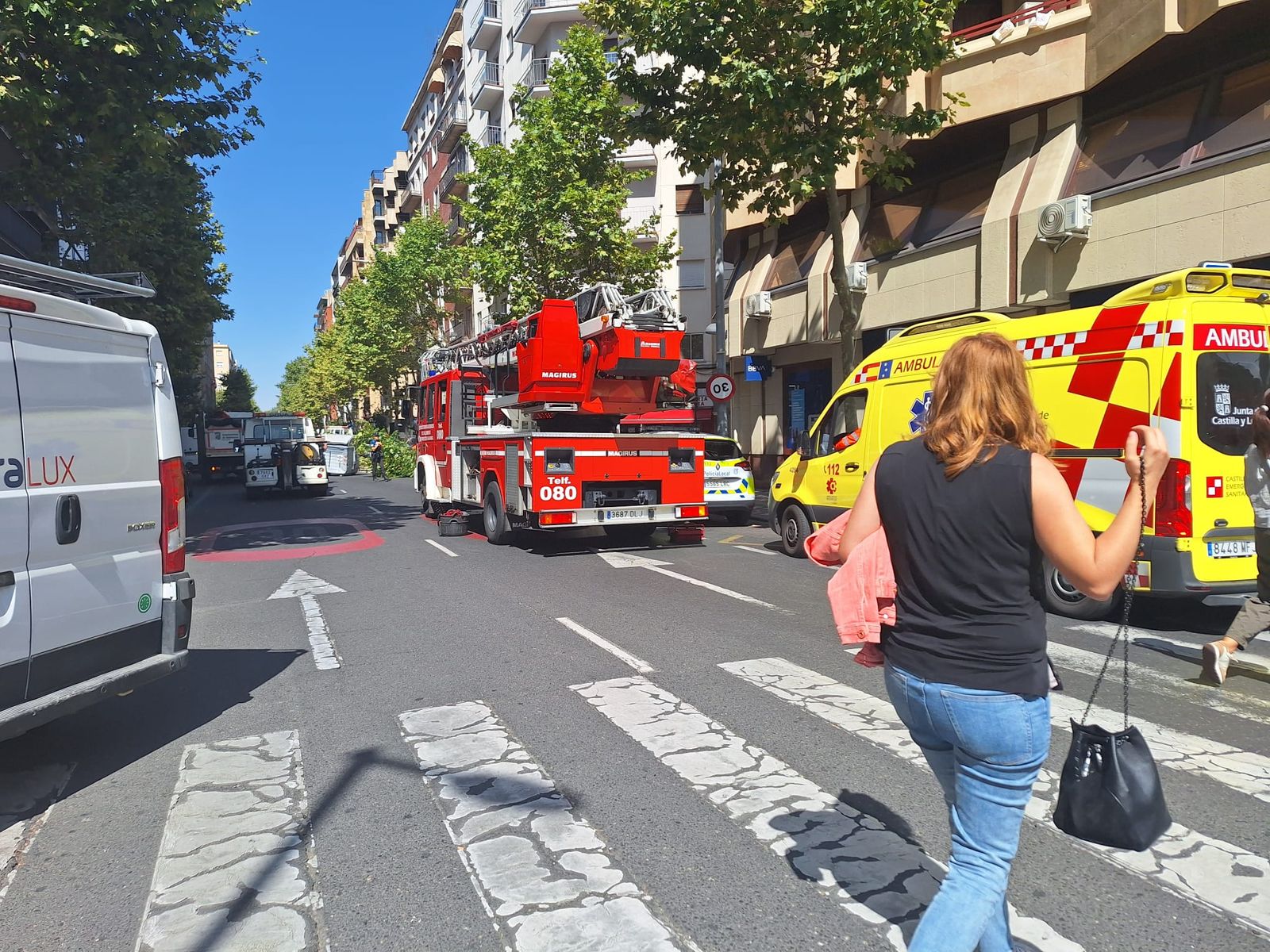 Un árbol cae sobre varios coches en Torres Villarroel