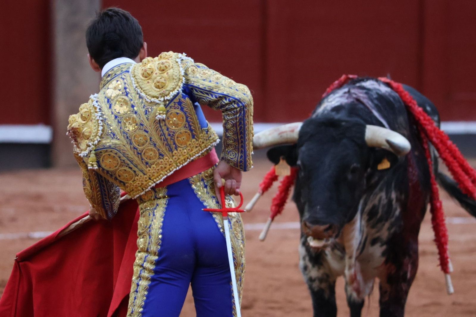 20230915185601-img-4228