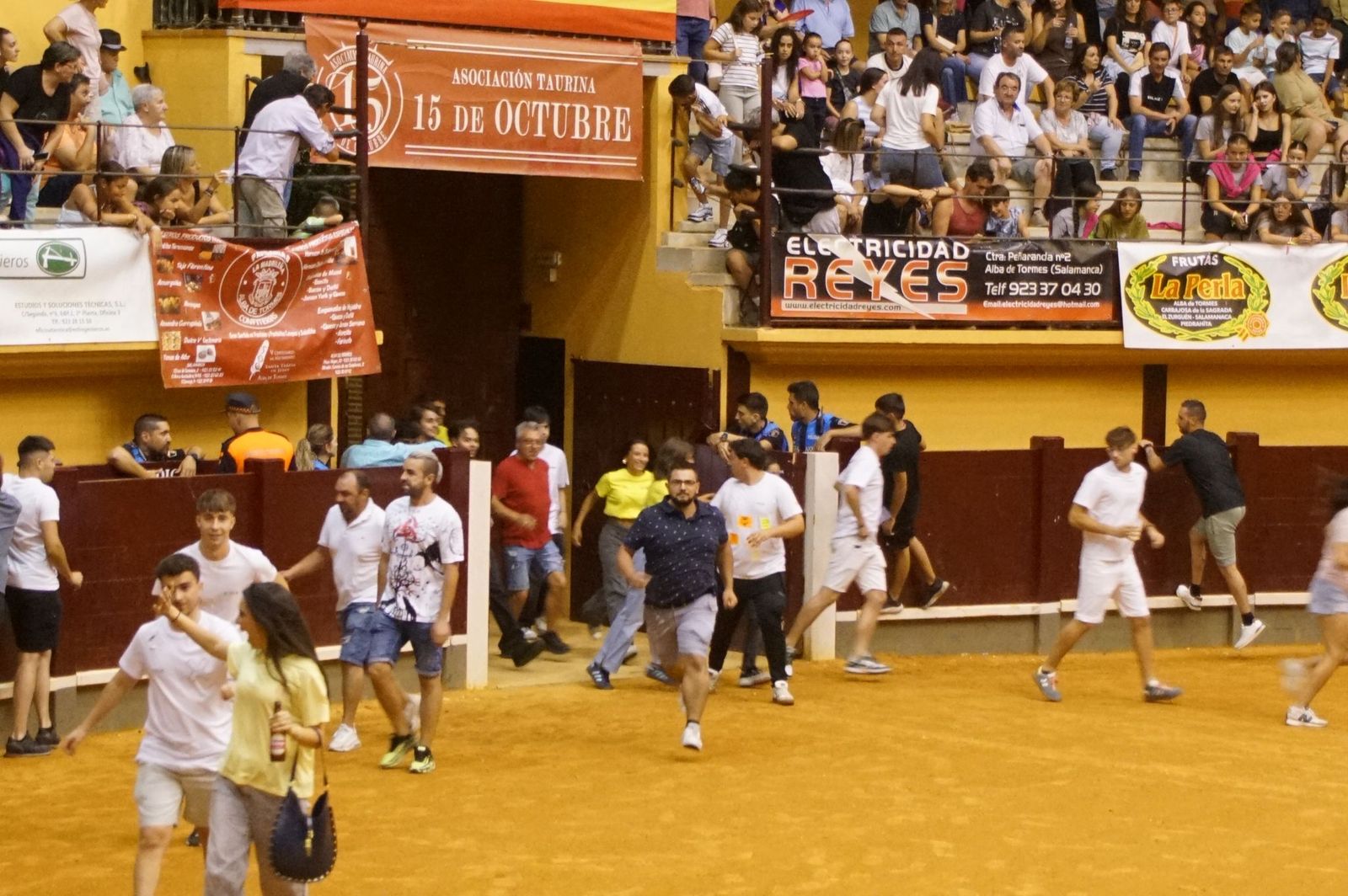 Multitudinario encierro nocturno en Alba de Tormes