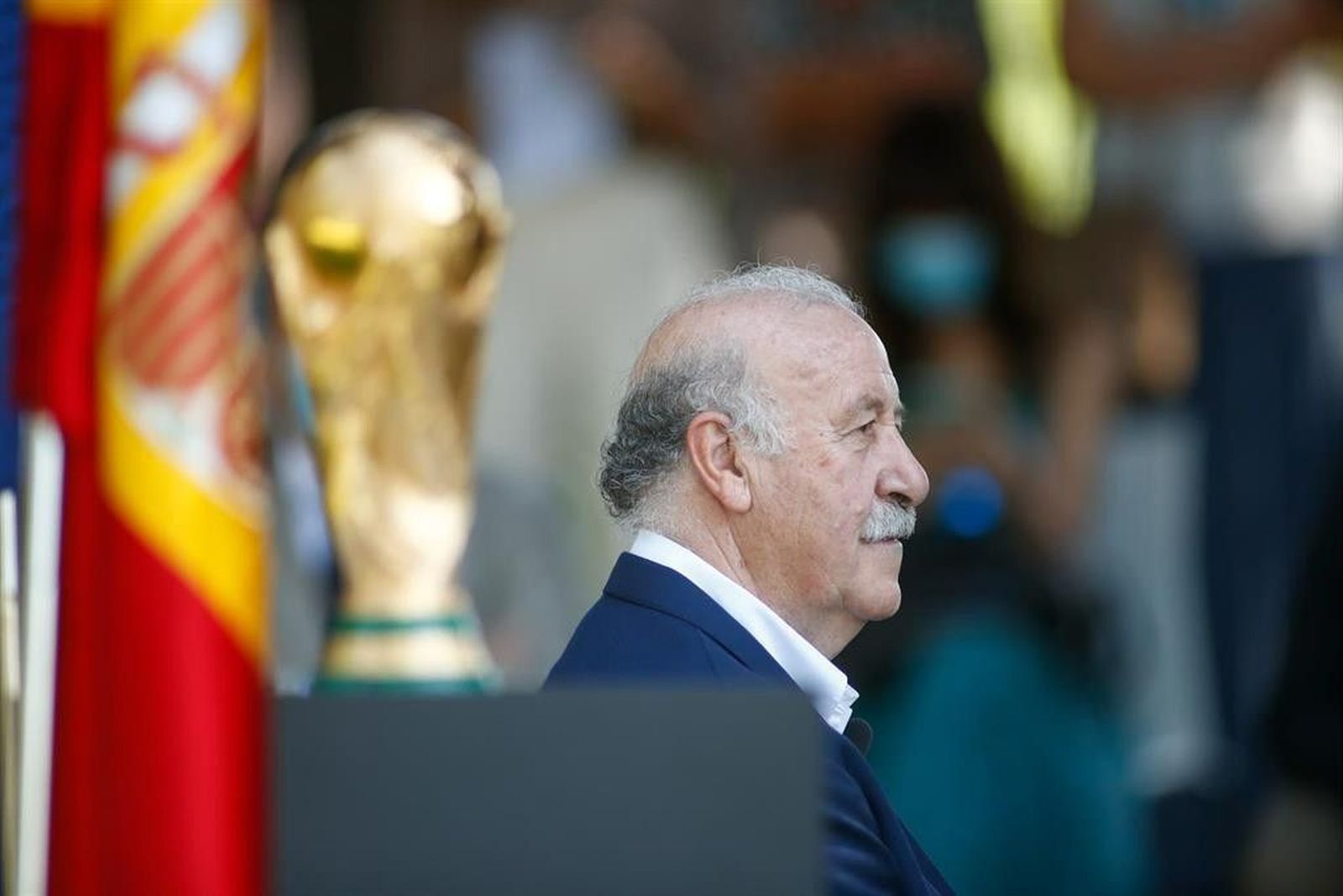 Vicente del Bosque