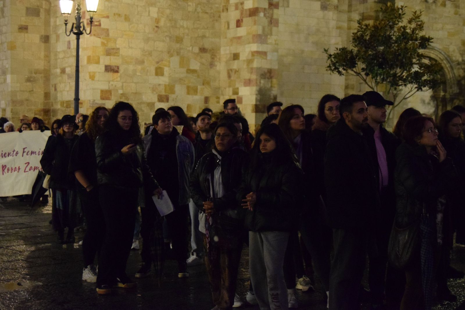 manifestacion-por-el-8m-en-zamora-45