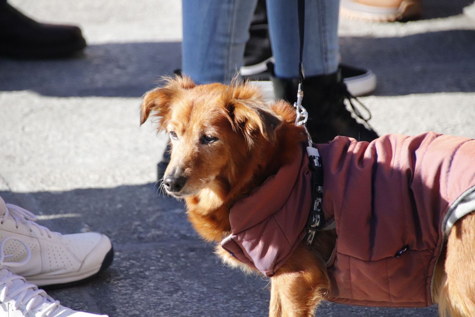 20230205121438-mg-5709