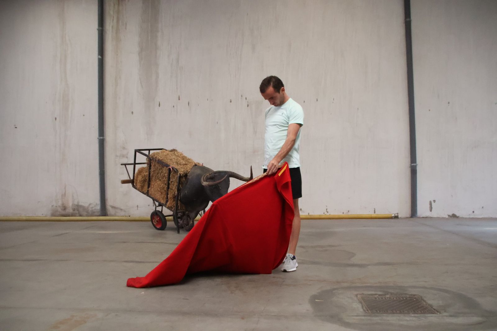 Entrevista con Damián Castaño por la feria de Salamanca