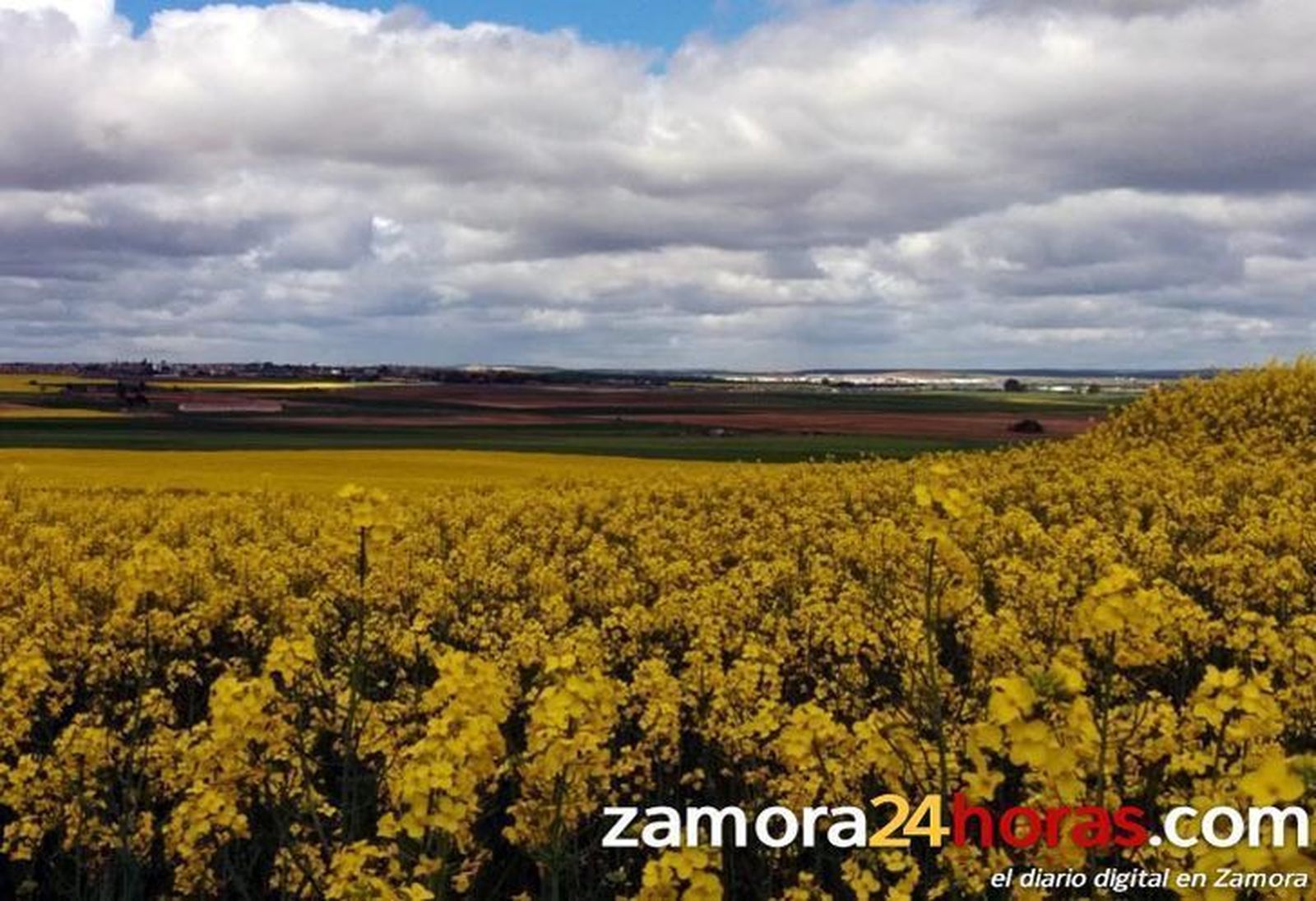 La inestabilidad meteorológica regresa a Zamora