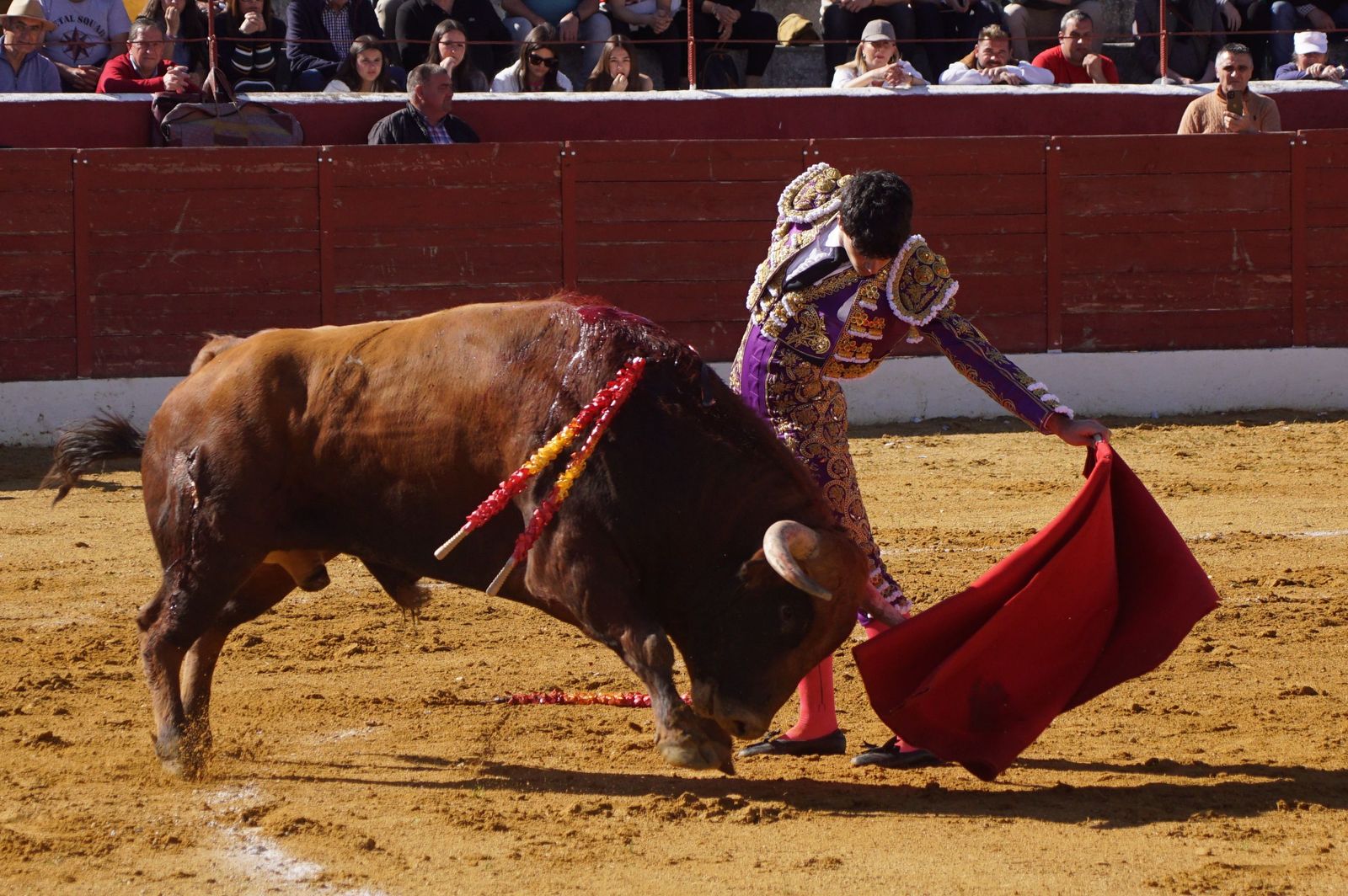 novillada-con-picadores-en-villoria-24