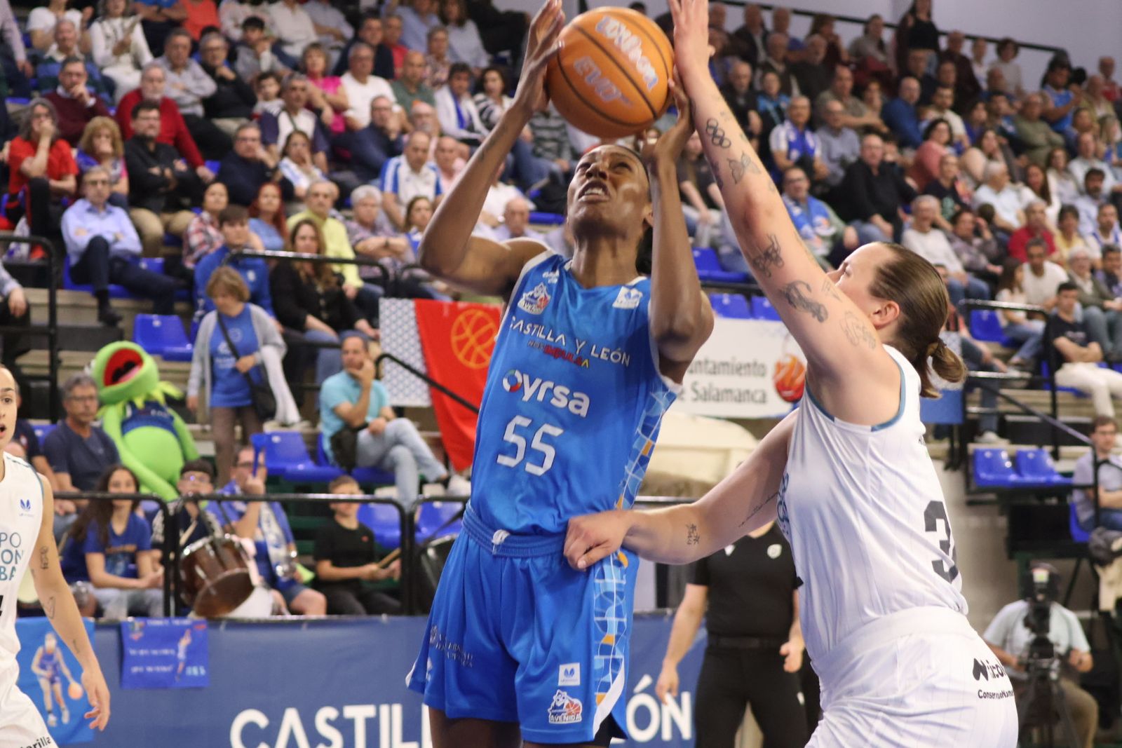 Perfumerías Avenida - CB Jairis