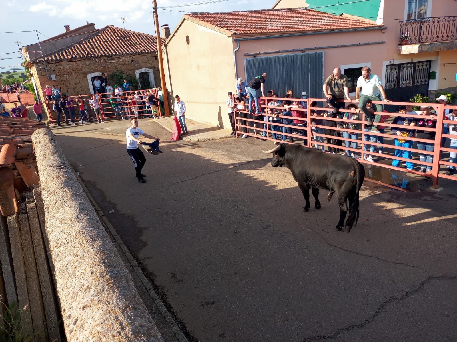 whatsapp-image-2022-05-14-at-9-12-30-pm-1