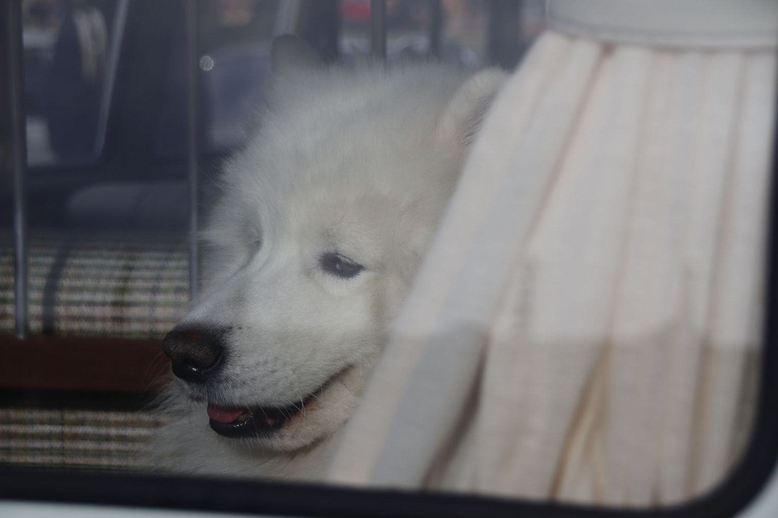 20221218140429-mg-8723