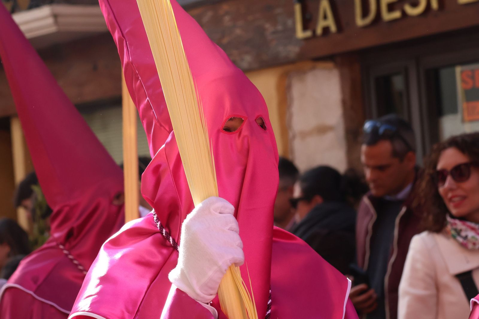 GALERÍA | Revive en imágenes la procesión de La Borriquita