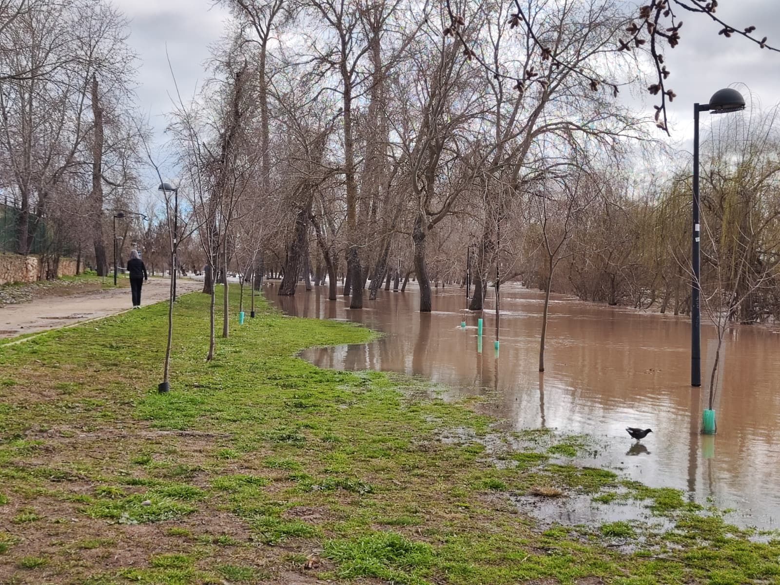 GALERÍA | Crecida del río Duero en Zamora este martes