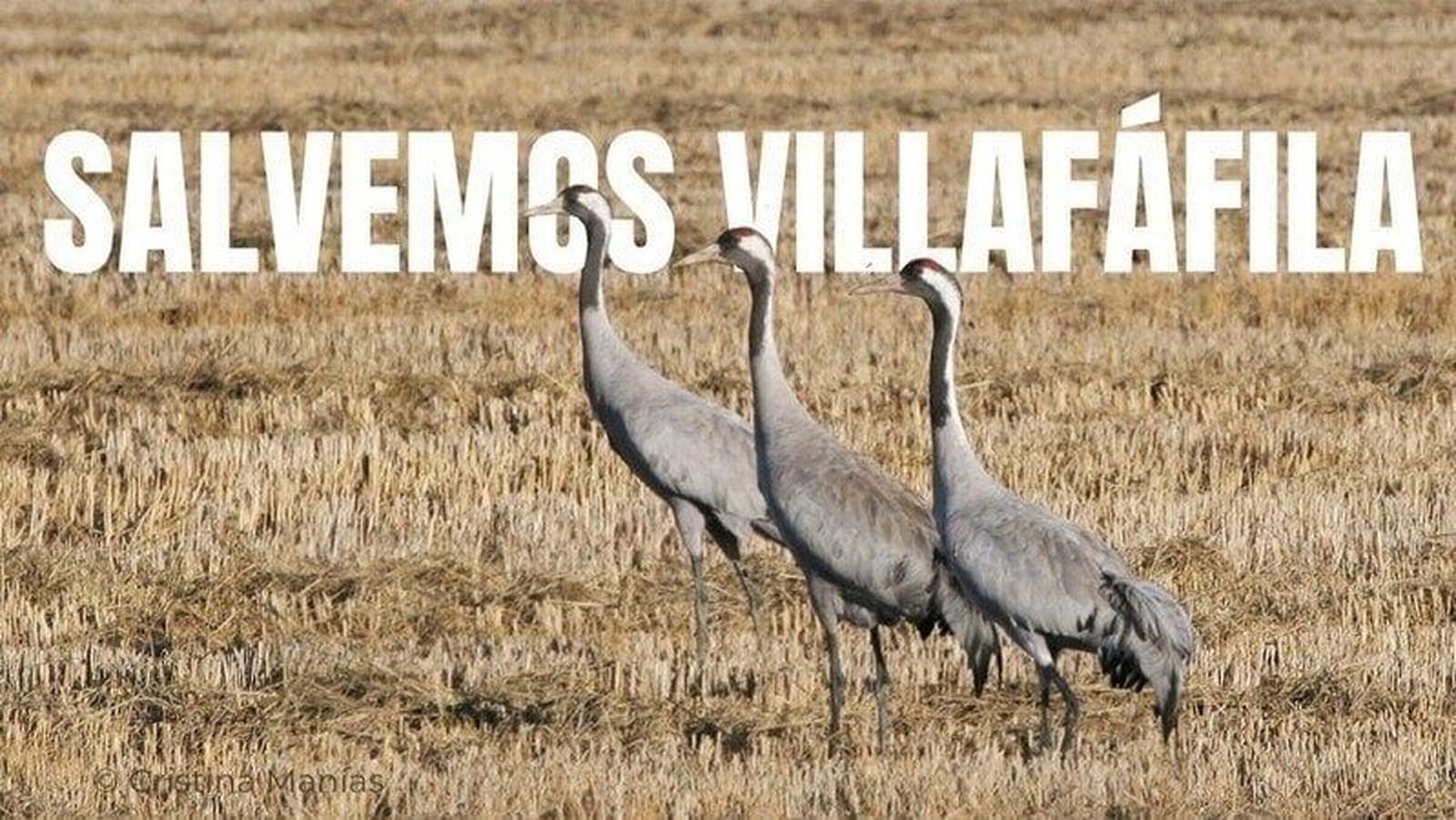 Imagen de la recogida de firmas