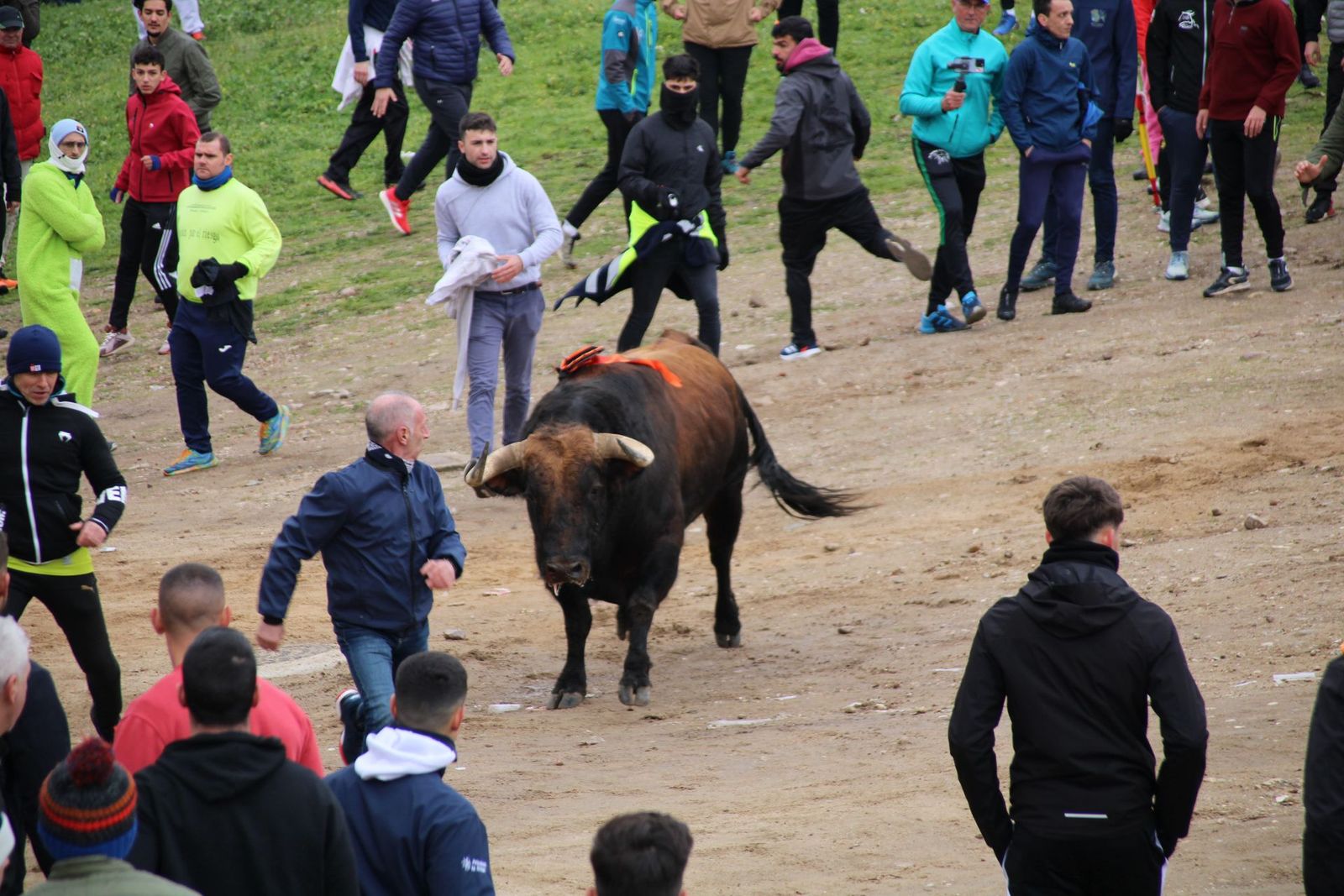 whatsapp-image-2025-03-01-at-11-56-28