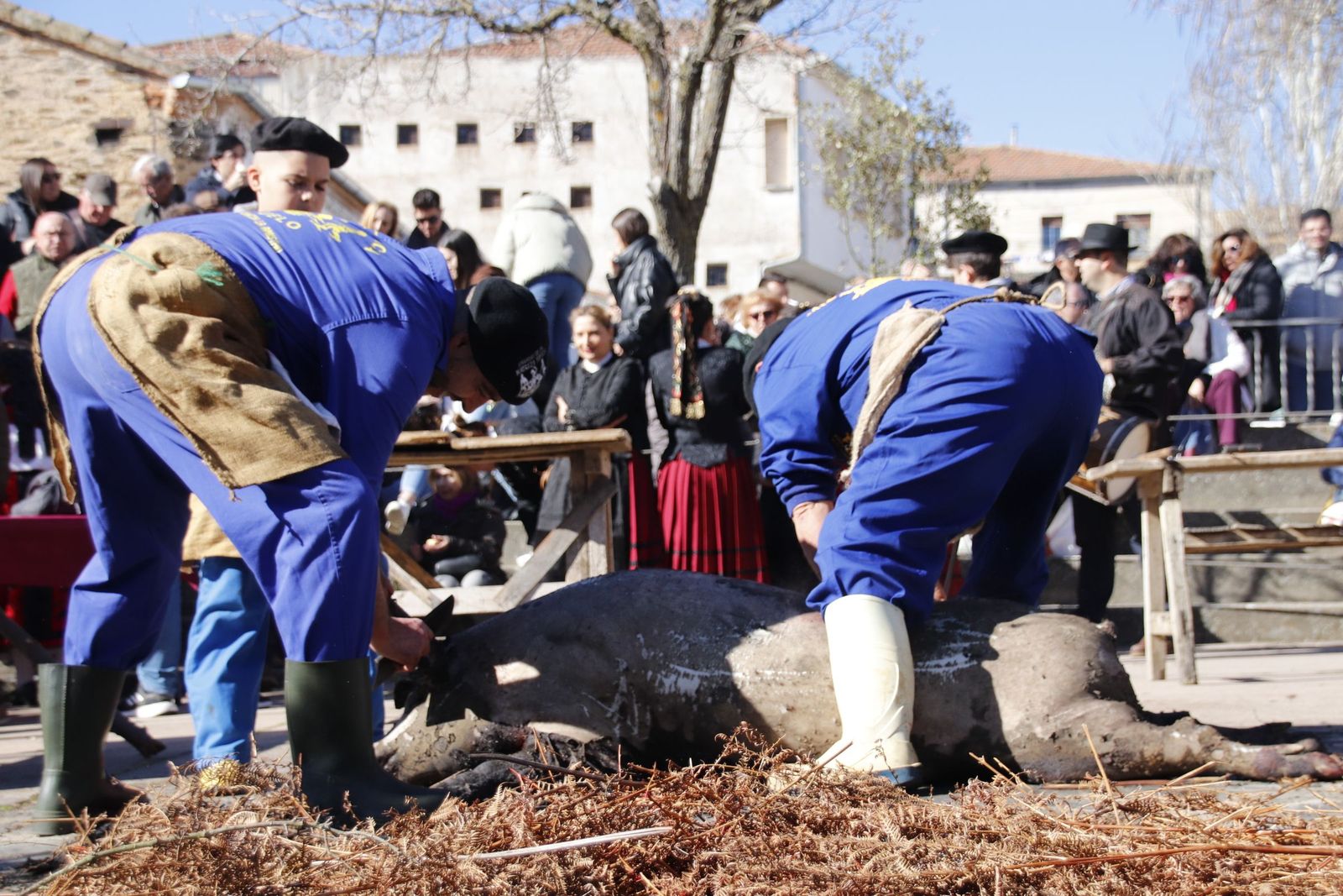 20230204130452-mg-4992