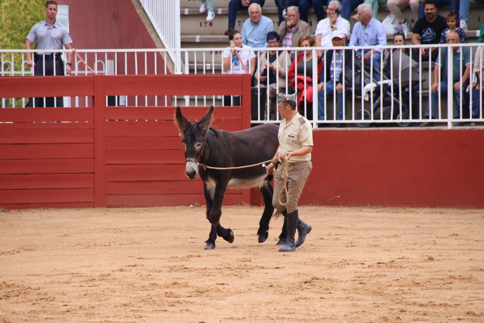 20230902112044-img-7082