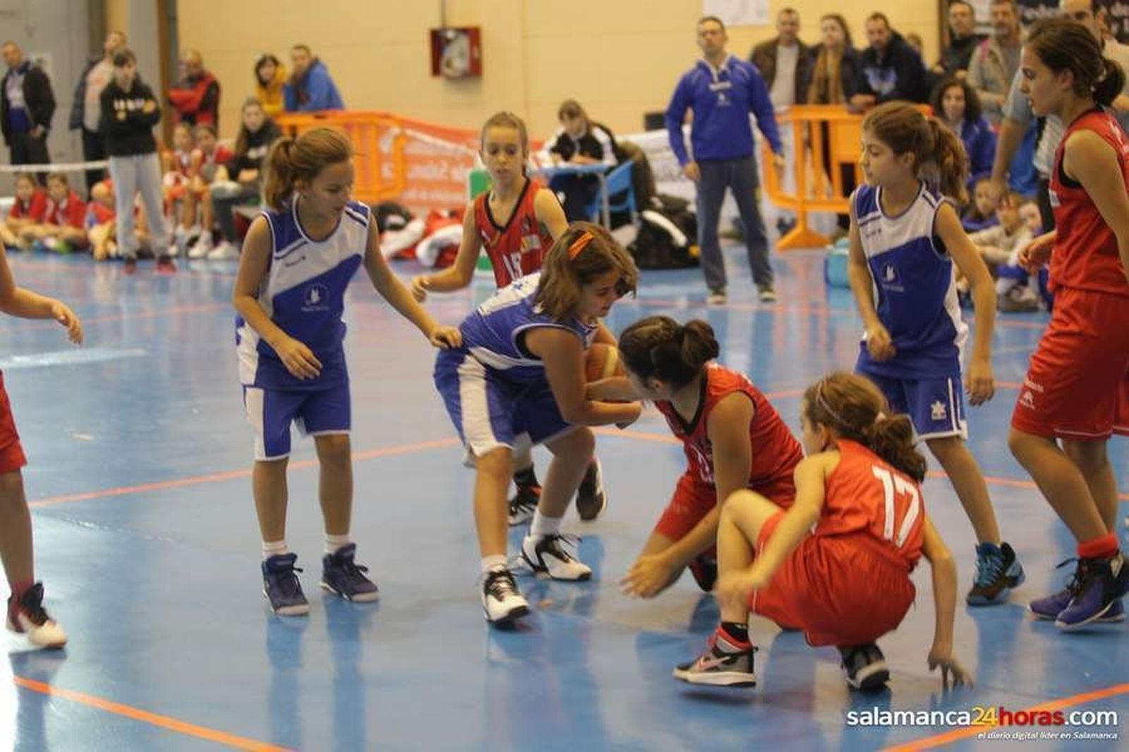 ¡Unos fanáticos del baloncesto!