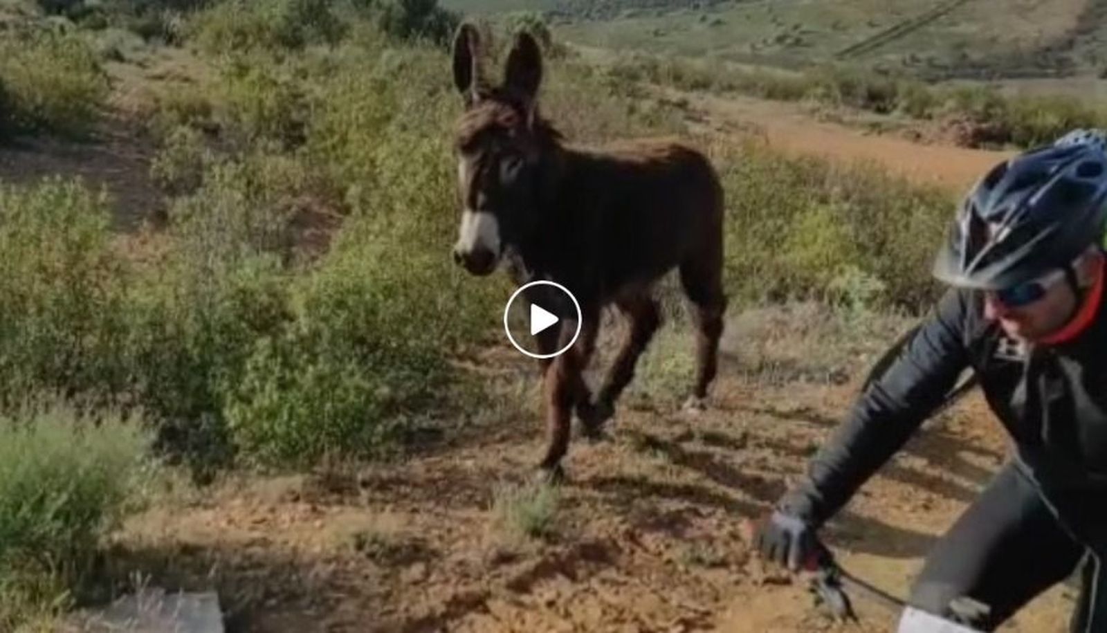 Un instante del vídeo