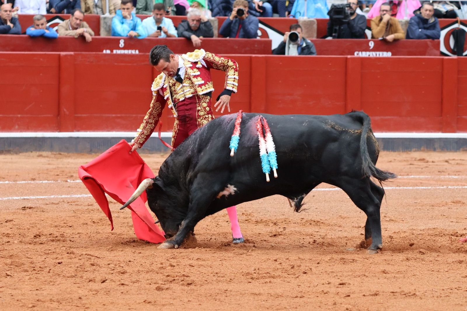 20230916173938-img-5328