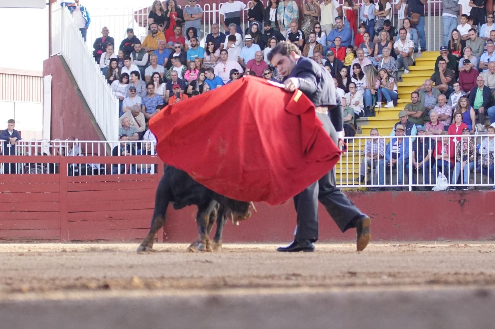 whatsapp-image-2024-09-06-at-20-53-41-3