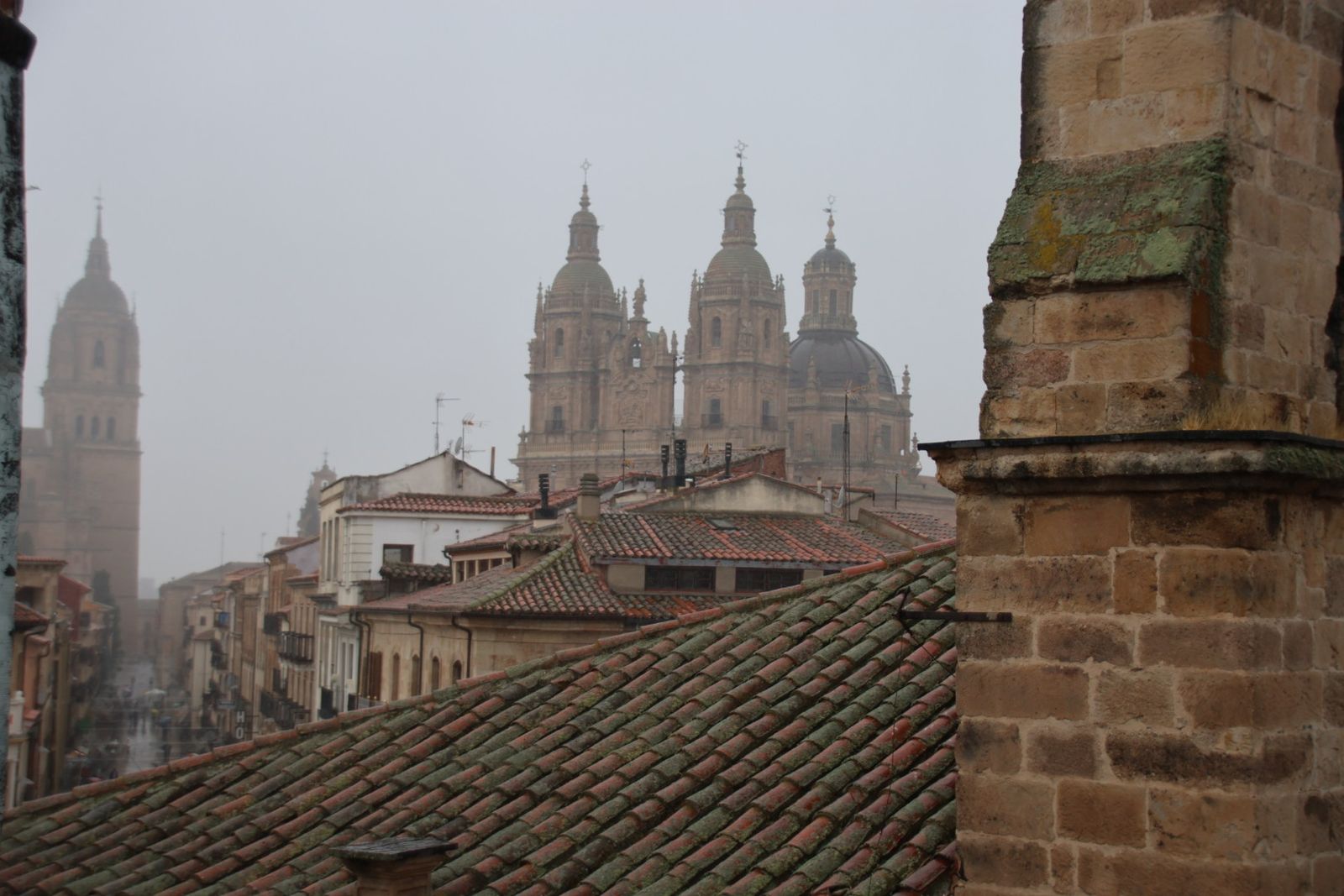 Visita a la Iglesia de San Martín