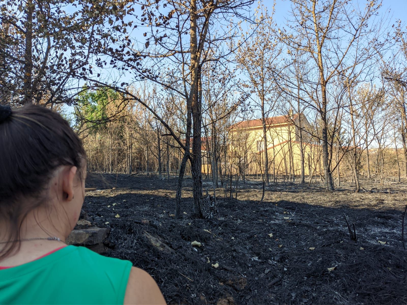Las heridas del fuego en Losacio (24)