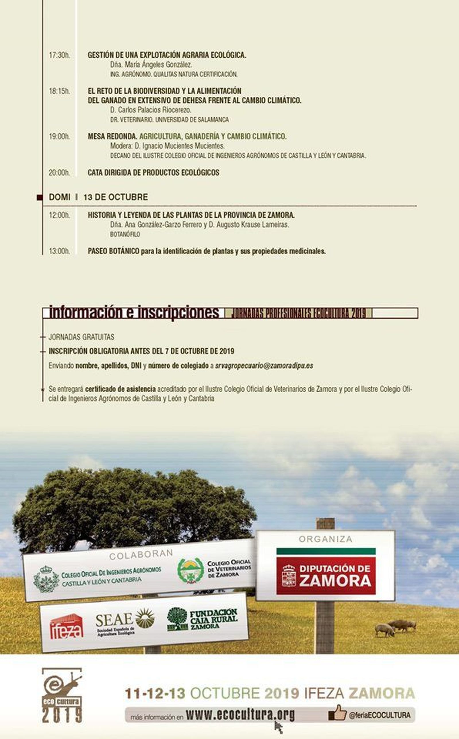 71230361 1441479476004244 8737044055180967936 n