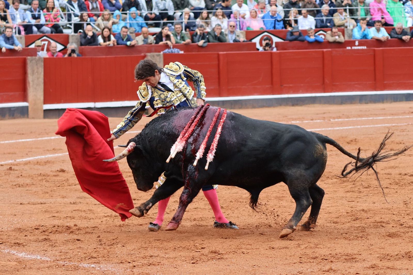 20230916172133-img-5256