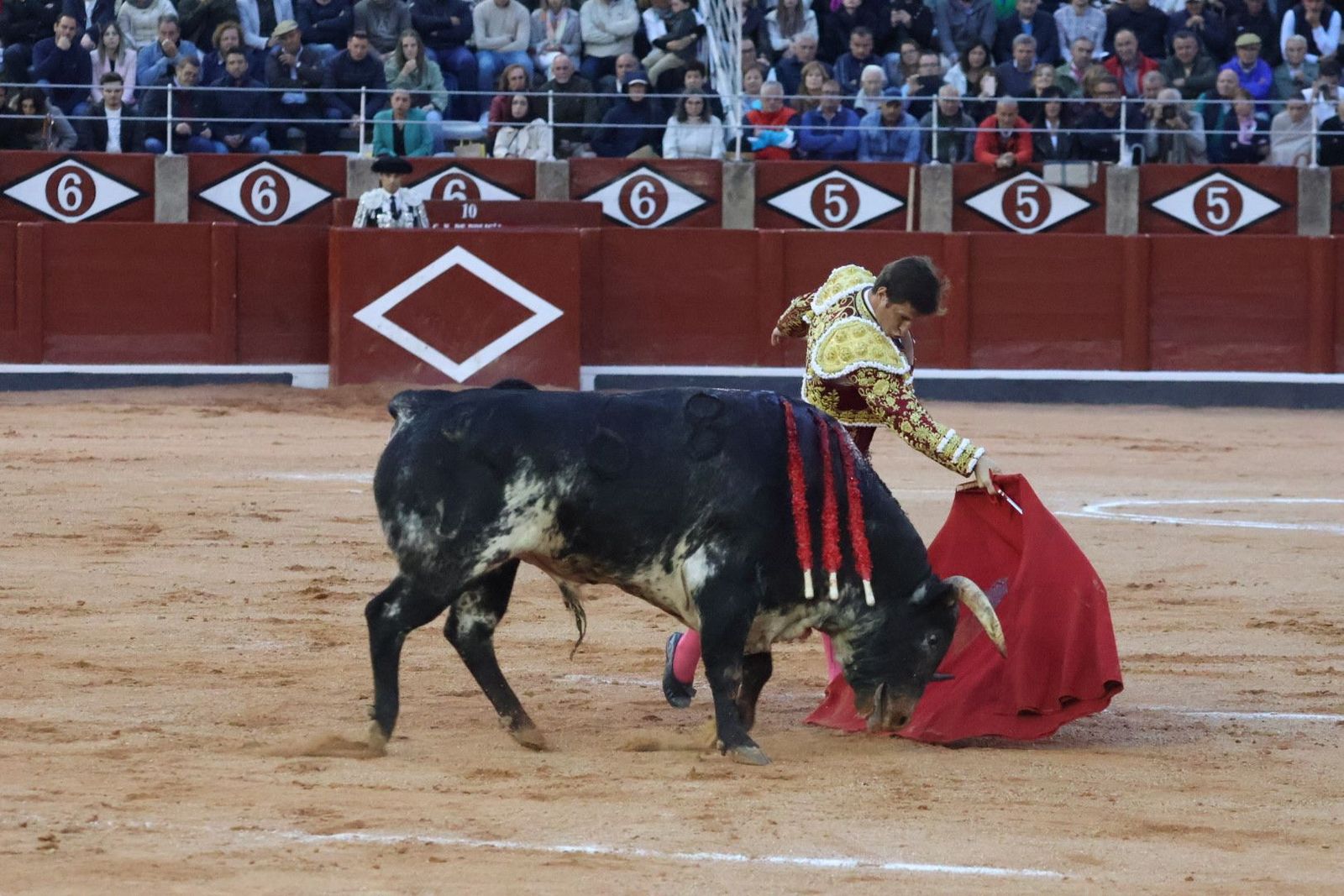 20230921192441-img-8384