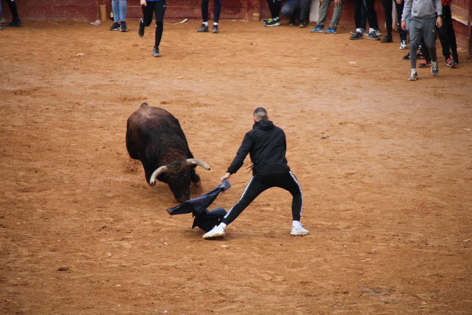 capea-matutina-del-martes-carnaval-de-ciudad-rodrigo-5