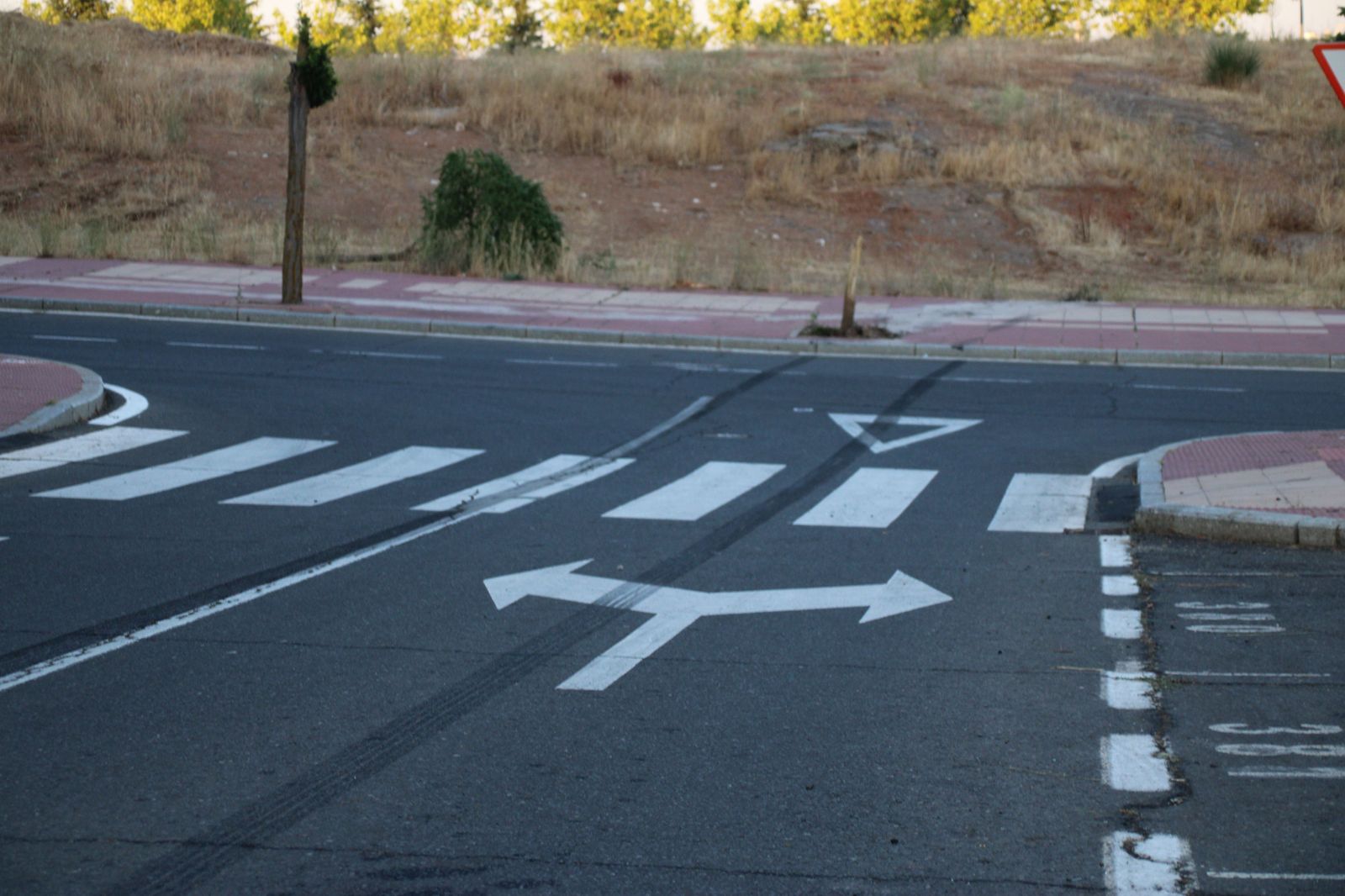 Arranca un árbol tras hacer ‘un recto’ en la calle Victoria al circular a gran velocidad y abandona su vehículo en el lugar (4)