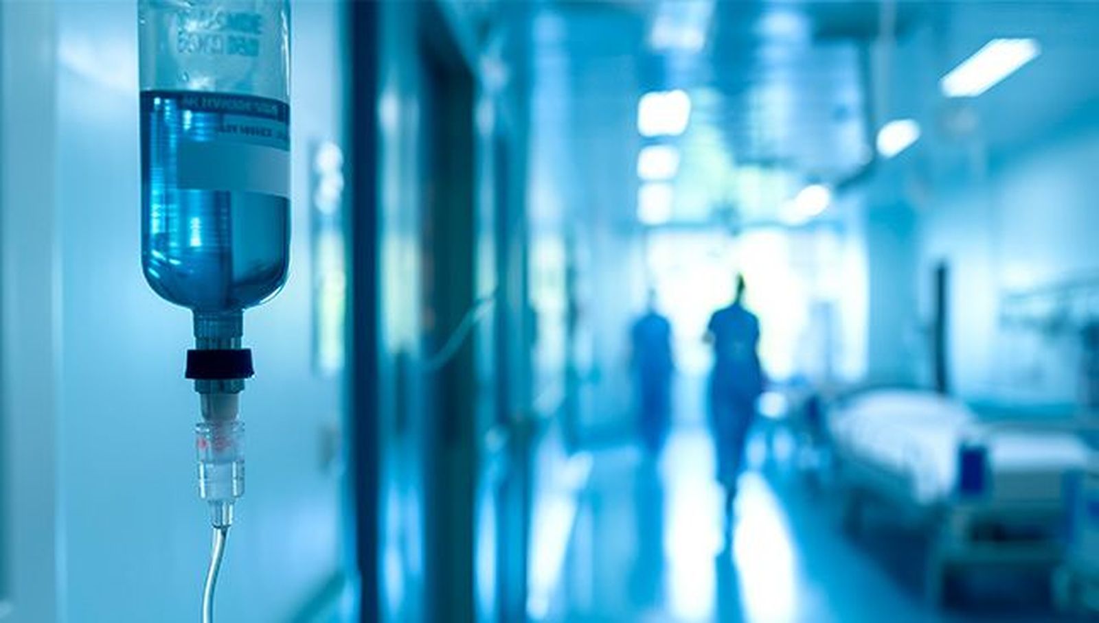 La Universidad de Salamanca avanza en el estudio de Candida albicans