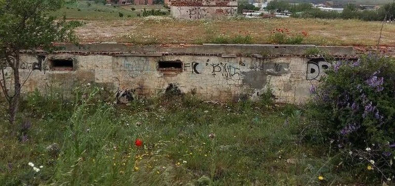 La iniciativa municipal propicia la limpieza del 84% de los solares