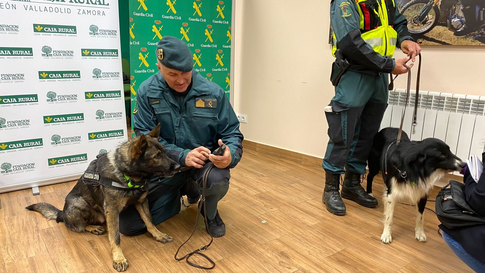 El sargento Fradejas manipula el receptor GPS ante uno de los perros, con el collar transmisor colocado.