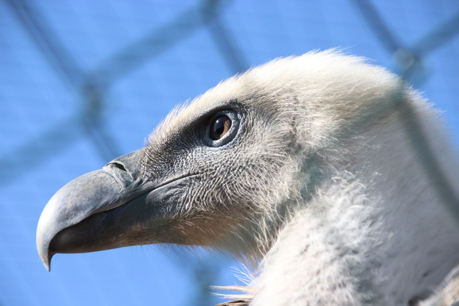 20230304152816-img-1685