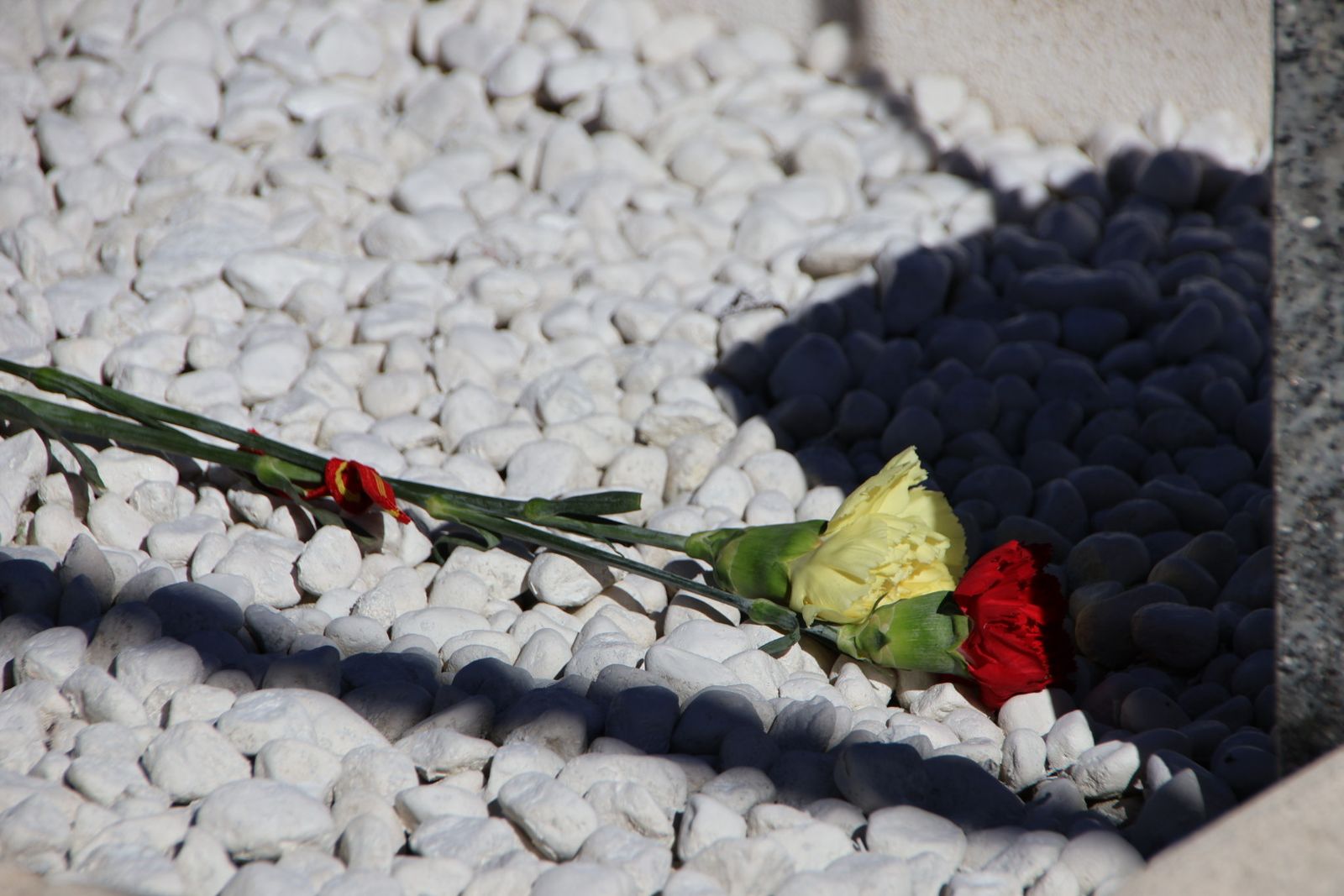 Día de los Caídos por la Patria