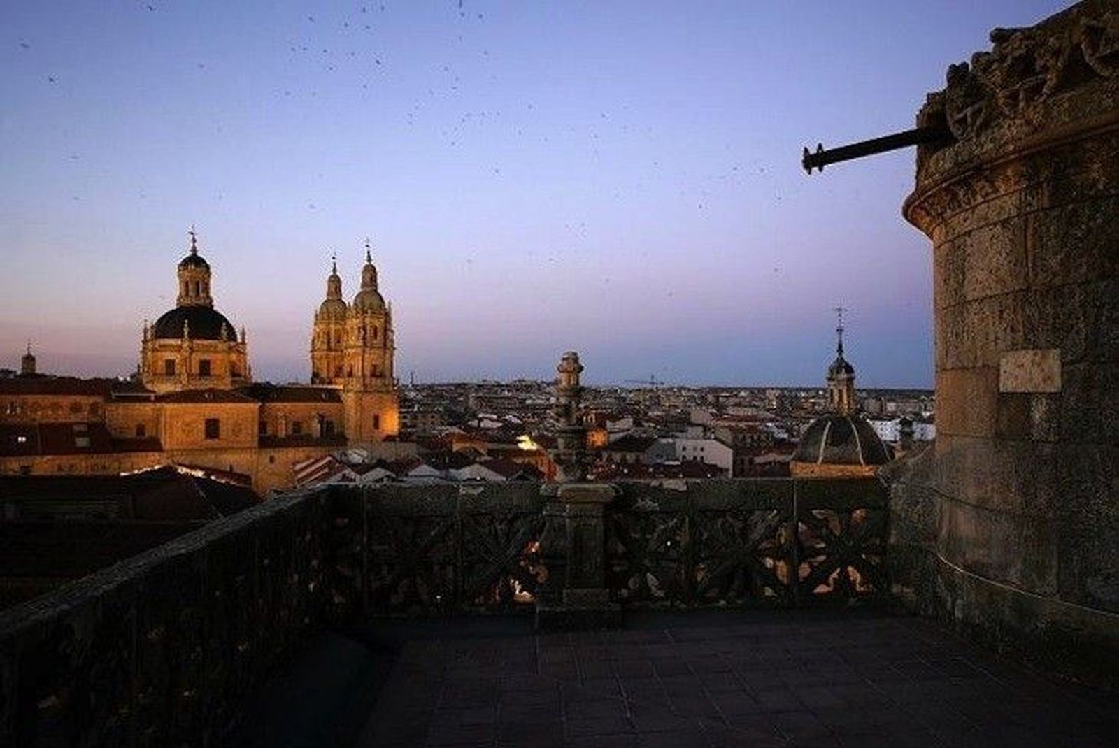 Ieronimus y Scala Coeli vuelven al escaparate nocturno de la ciudad