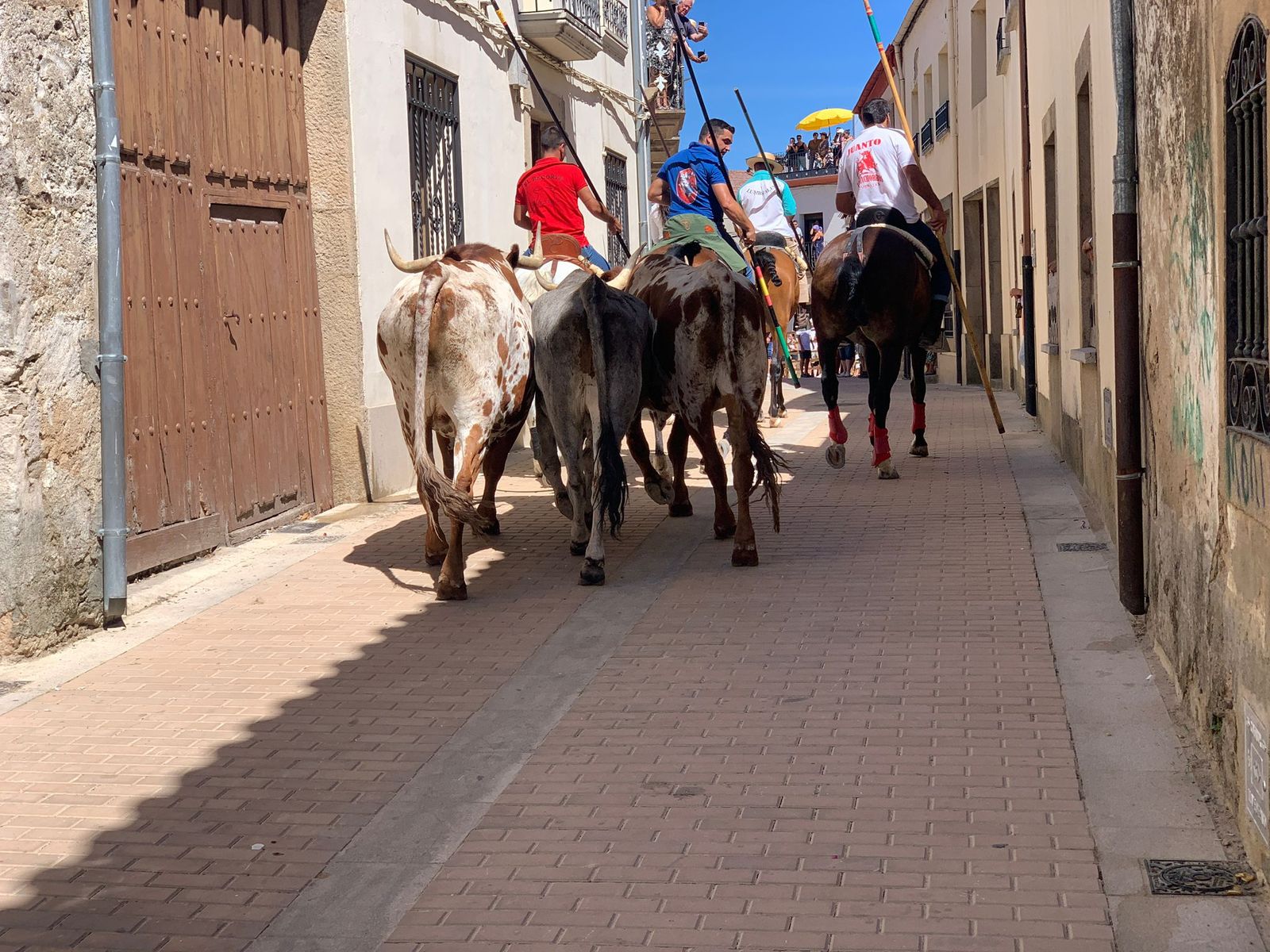 whatsapp-image-2022-08-21-at-12-55-41-pm